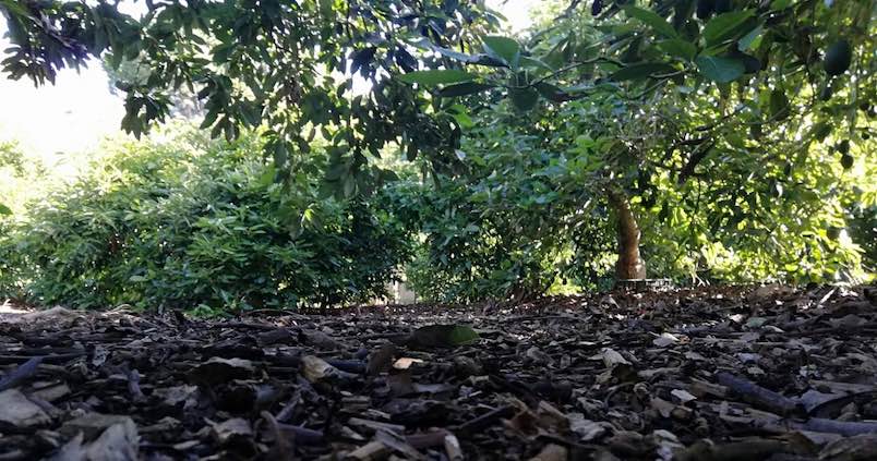 sarmientos-life-agro