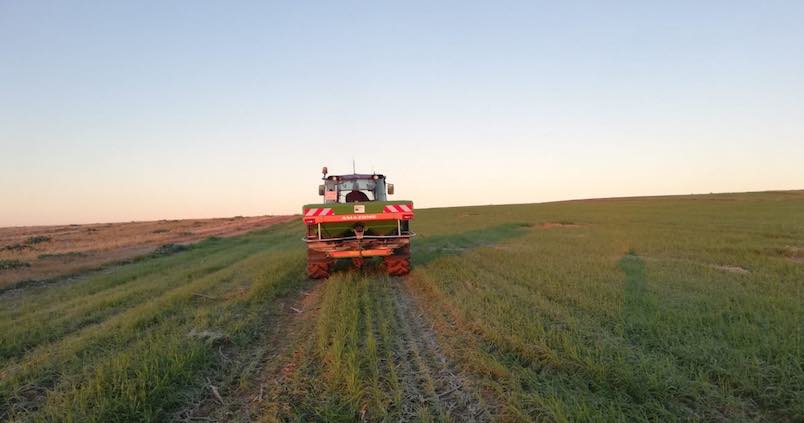 Así aumenta un 17% la producción de cereales gracias a las prácticas sostenibles