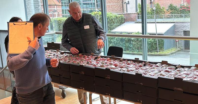 UPA reparte en Bruselas más de mil tarrinas de fresas de Huelva en su campaña para reivindicar su calidad