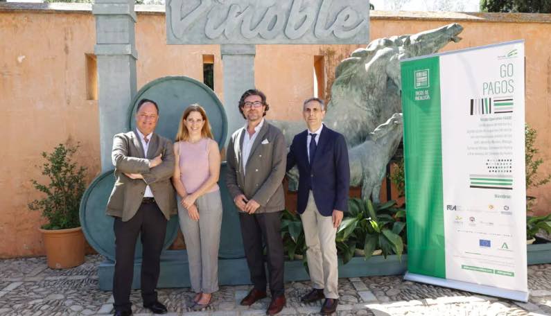 Los pagos históricos andaluces quieren digitalizar sus viñedos