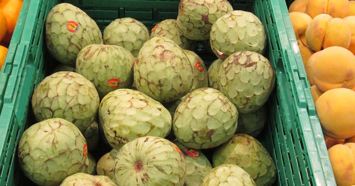 chirimoya-almunecar-recur