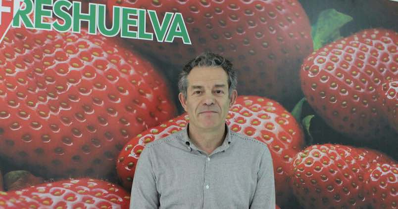 «Los mercados exteriores no han dejado de valorar nunca la calidad de nuestra fresa»