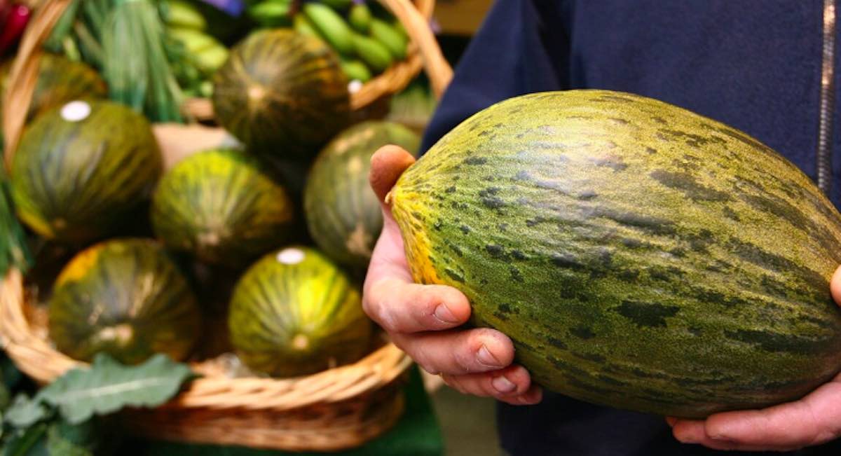 melon-fruteria-vmerino