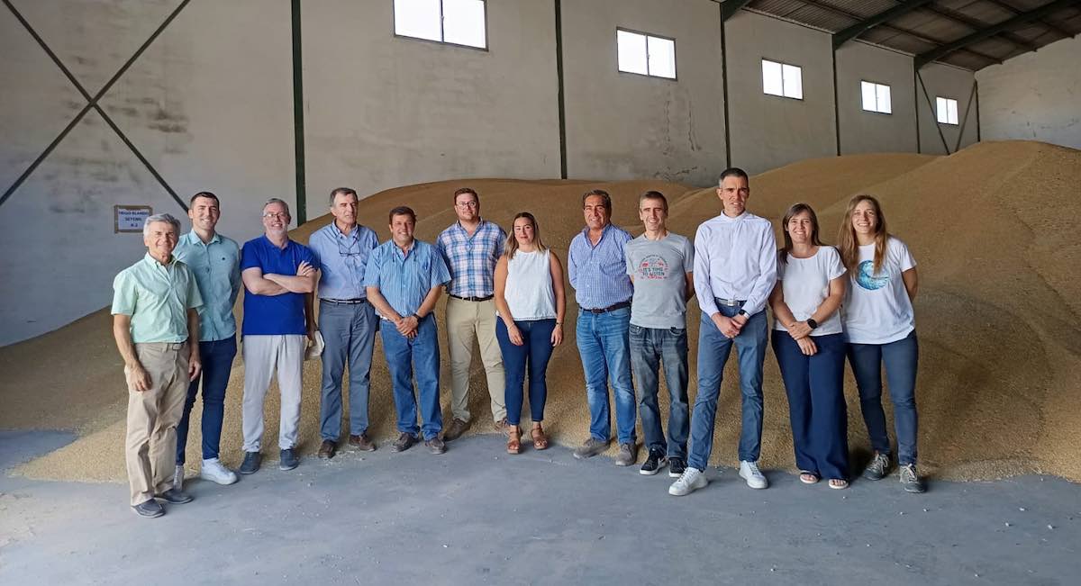 Andalucía busca liderar la producción de trigo blando de calidad para la industria harinera