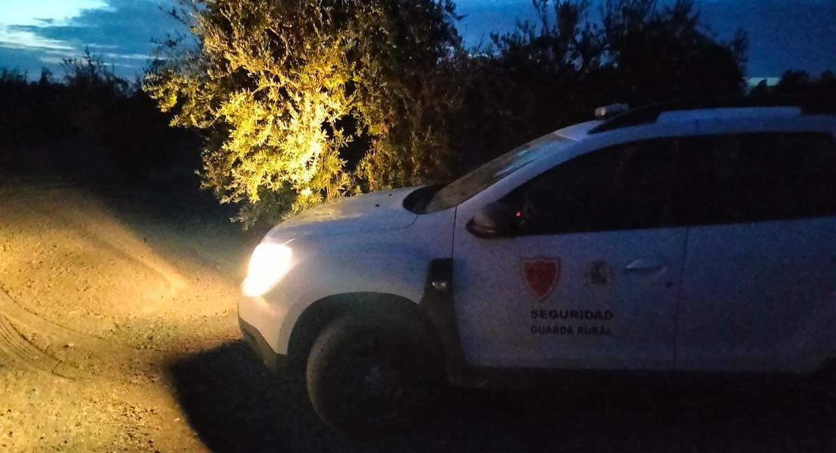 Más ojos en el campo para evitar robos de aceitunas: Arahal pone en marcha la ‘guardería rural’