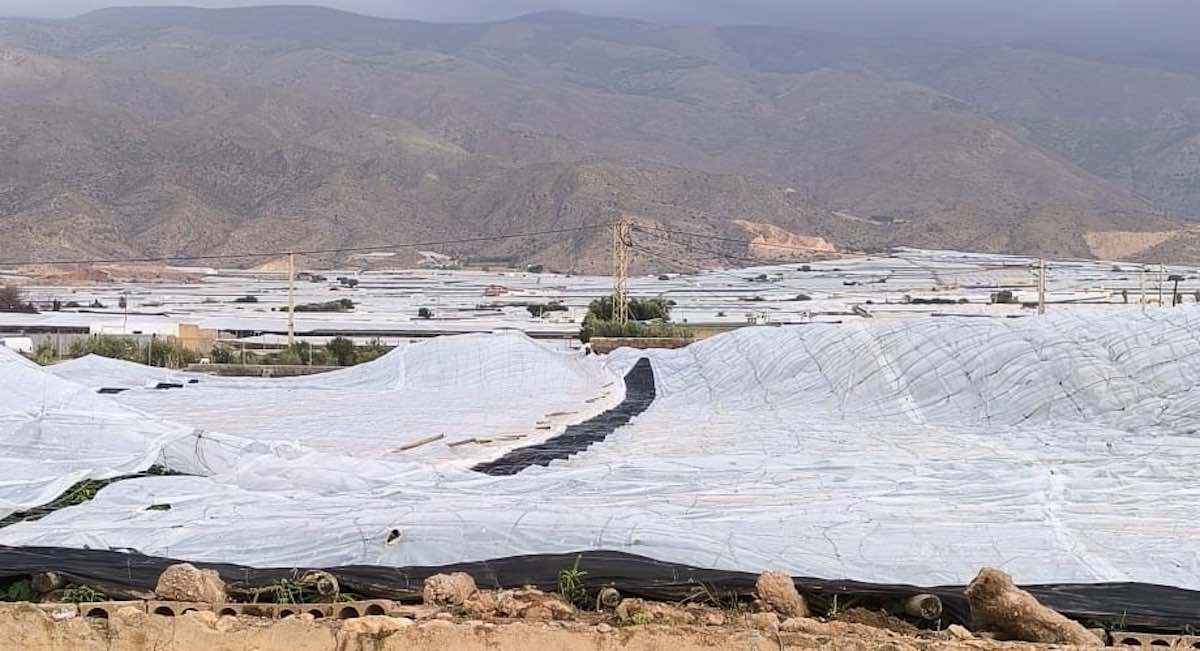 Las pérdidas en el campo por las tormentas de Almería superan los 30 millones de euros