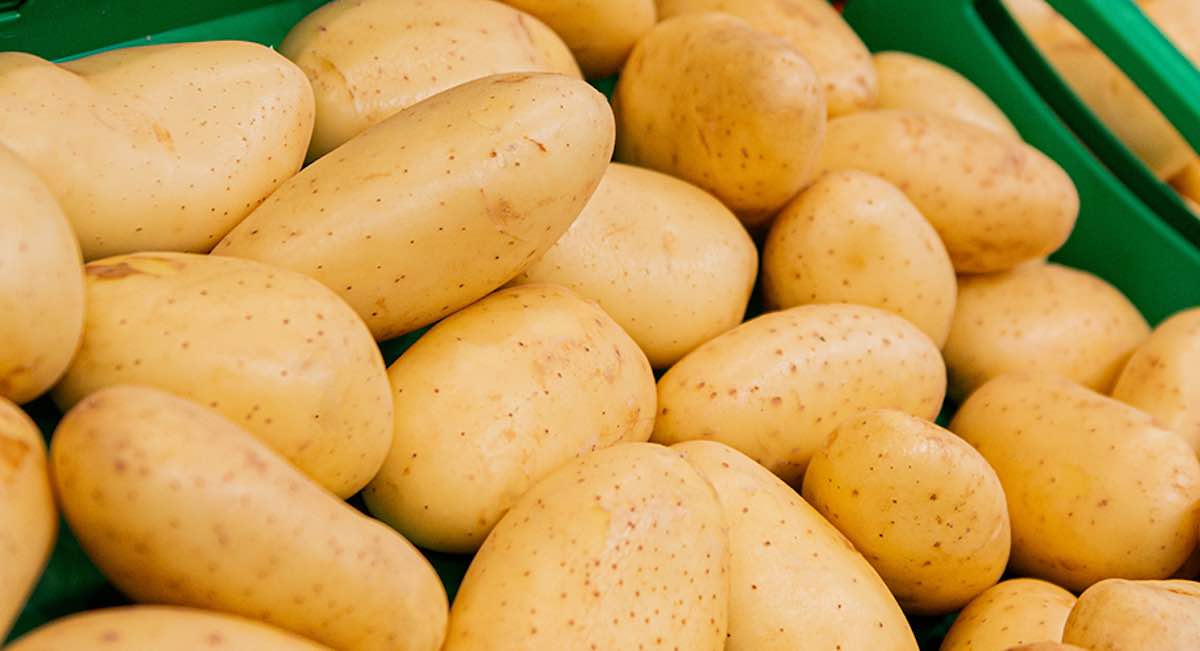 Este es el origen de la patata nueva que Mercadona empezará a comercializar a principios de 2025