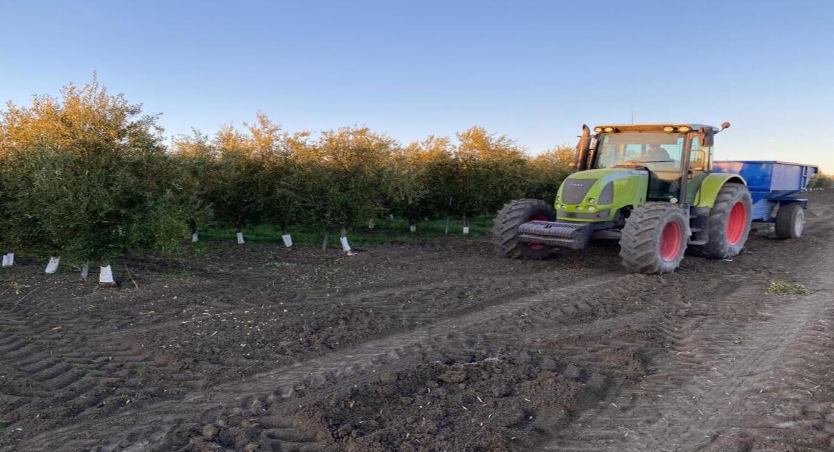 Olivérica llama a la acción: urge un precio justo para el aceite de oliva que garantice la sostenibilidad del sector
