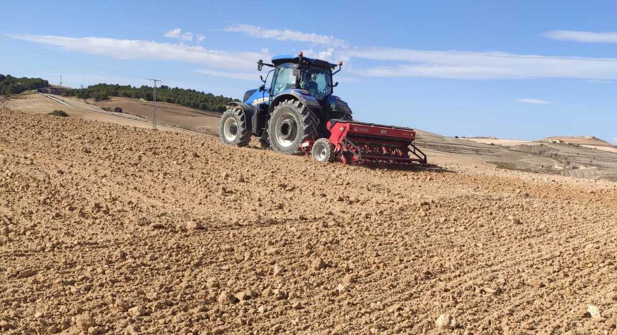 Los productores, desesperados: «Estamos inundados de grano ucraniano y con precios de hace 40 años» - Agrónoma