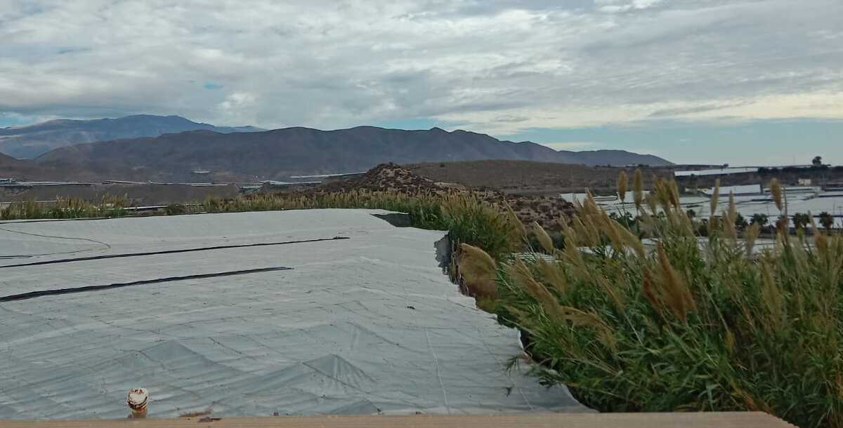 El campo almeriense cierra un año marcado por la sequía, la DANA y la crisis de precios