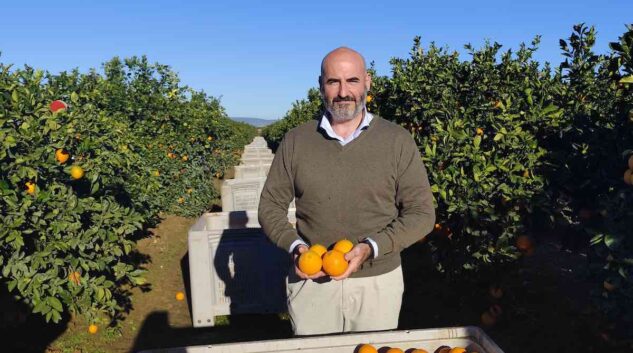 La compañía que surte de naranja a Mercadona: «La extraordinaria calidad de este año recuperará el consumo»
