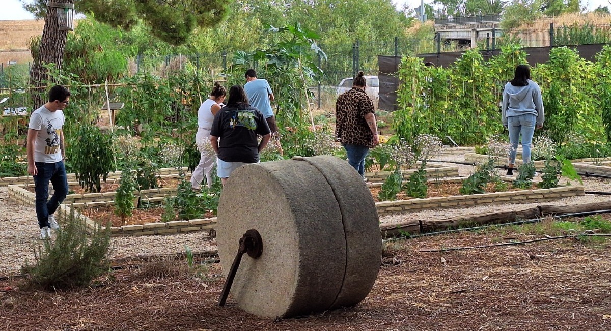 Más de 800 andaluces se suman a las jornadas ‘Tu huerto, tu salud, tu planeta’