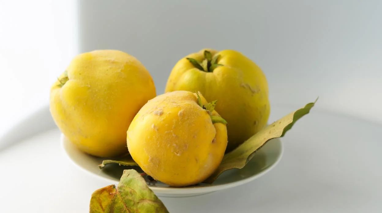 El alimento rico en potasio y fibra que recomienda nuestra nutricionista: potencia nuestro sistema inmunológico