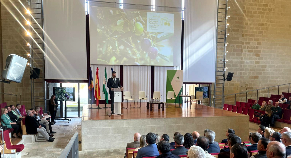 estrategia-olivar-jaen (1) (1)