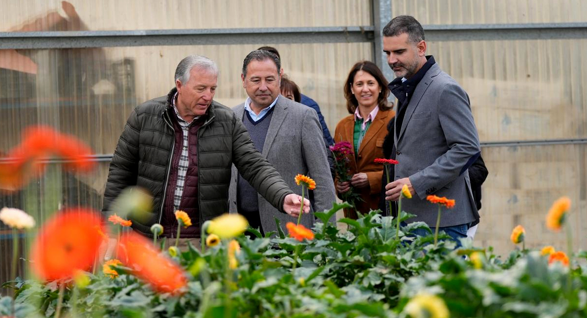 flor-cortada-lebrija