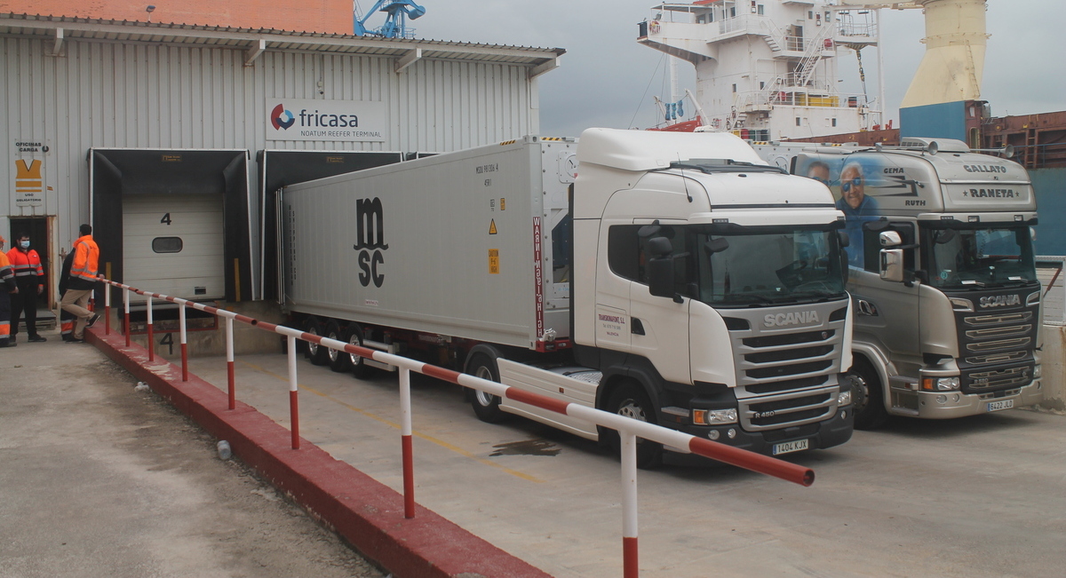 india-exportaciones (1)