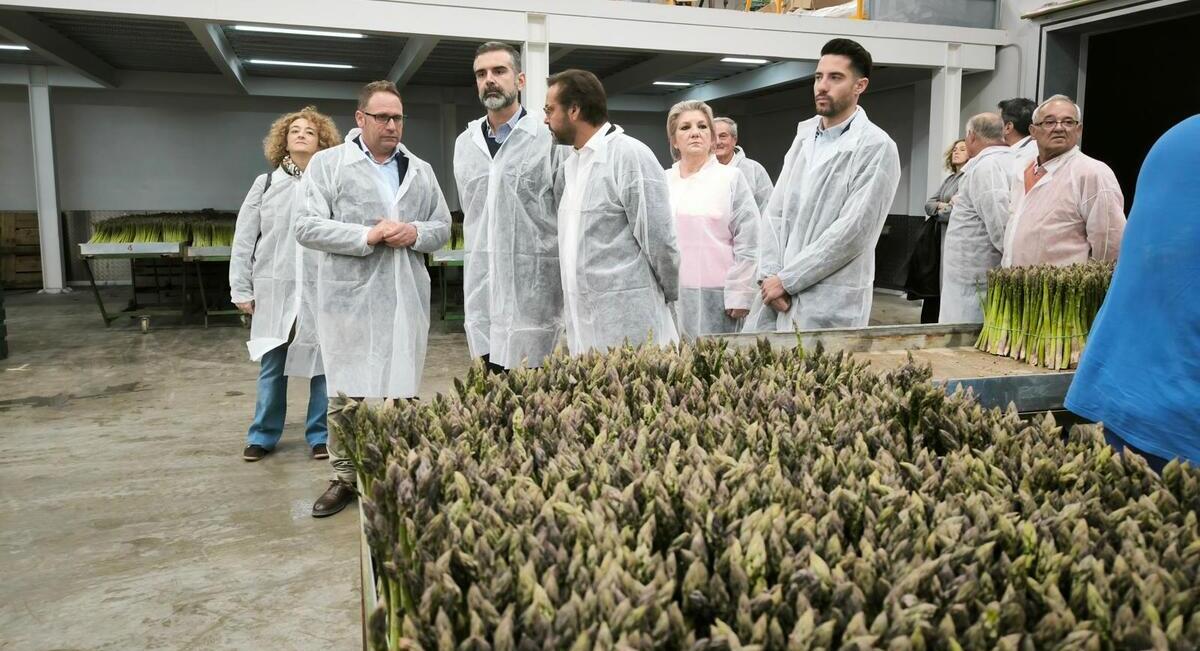 fernandez-pacheco-esparrago