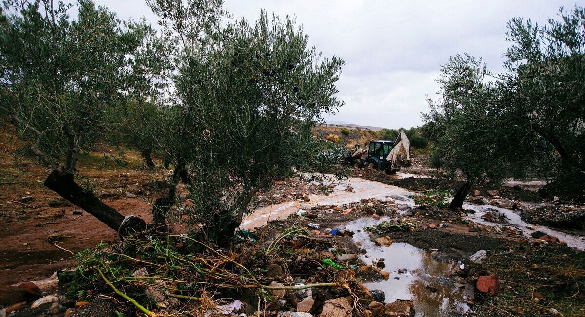 La borrasca de lluvia y viento causa un centenar de incidencias en Andalucía