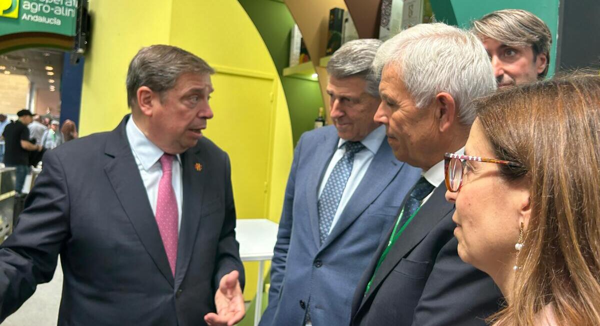 Expoliva-planas-cooperativas (1)