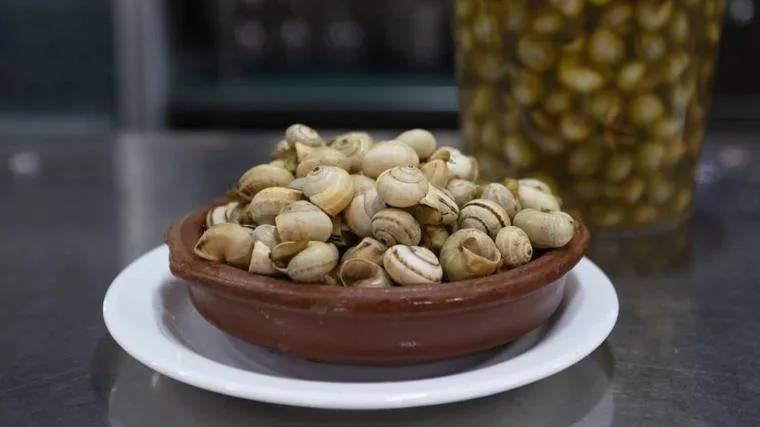 Los beneficios de comer caracoles para nuestro cuerpo