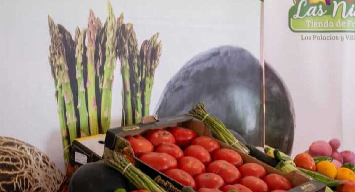 tomate-las-nieves (1)