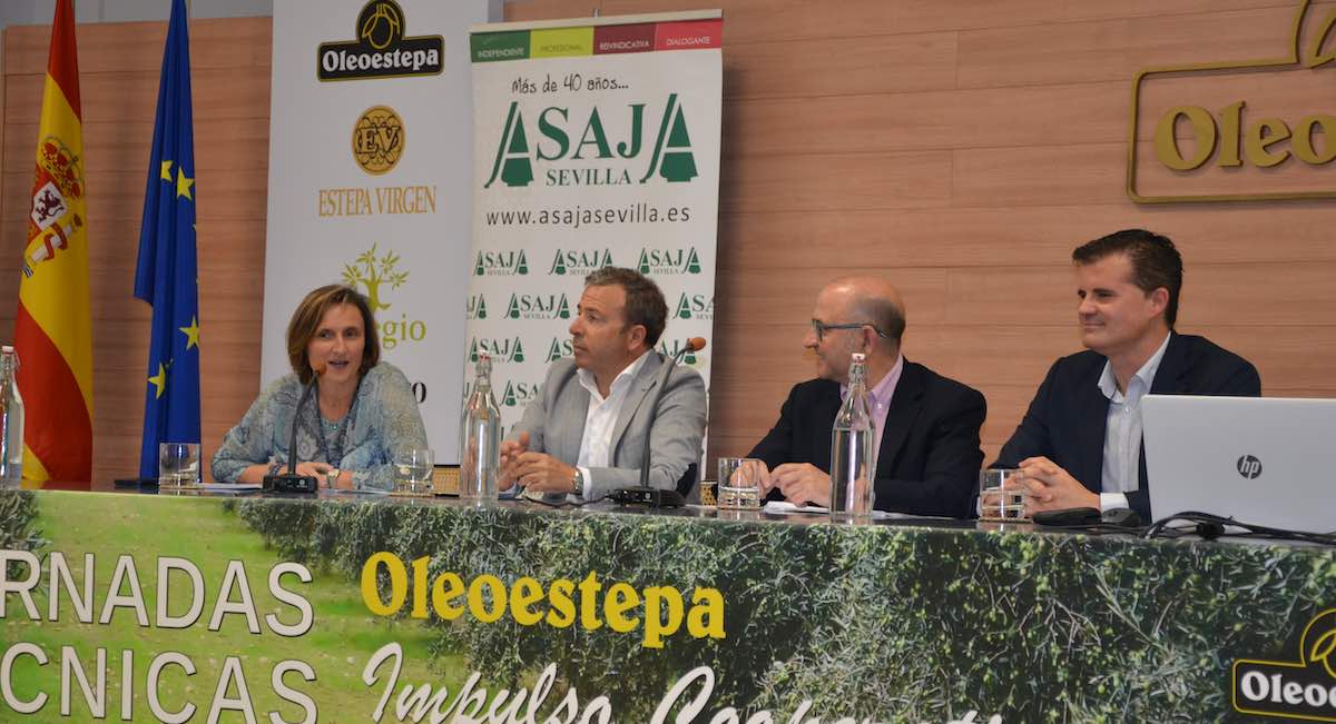 Los olivareros sevillanos apuestan por la sostenibilidad y la producción integrada