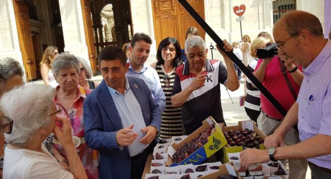 La breva de Jimena, un manjar de temporada con identidad propia