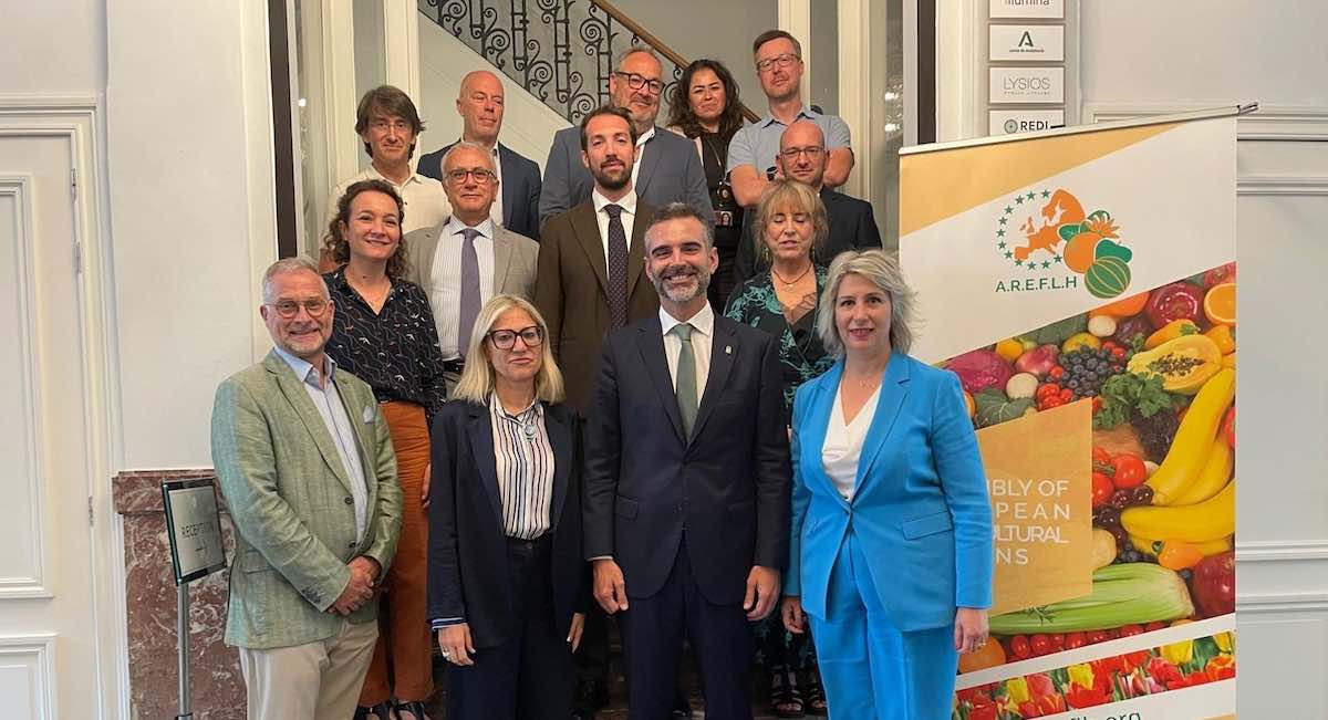 organizaciones-comite-and