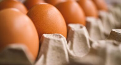 El ministro Planas explica las claves de la subida del precio de los huevos: «Puede haber más incidencias»