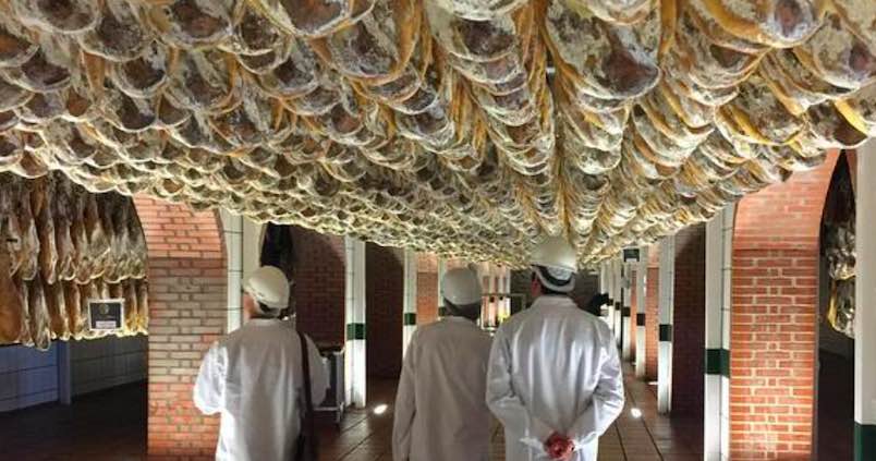 instalaciones-sanchez-romerocarvajal