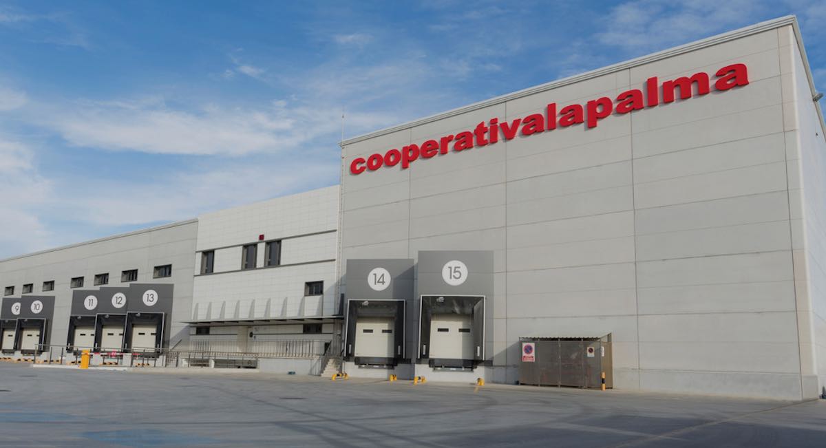 Cooperativa La Palma: la apuesta por la innovación da sus frutos en Granada