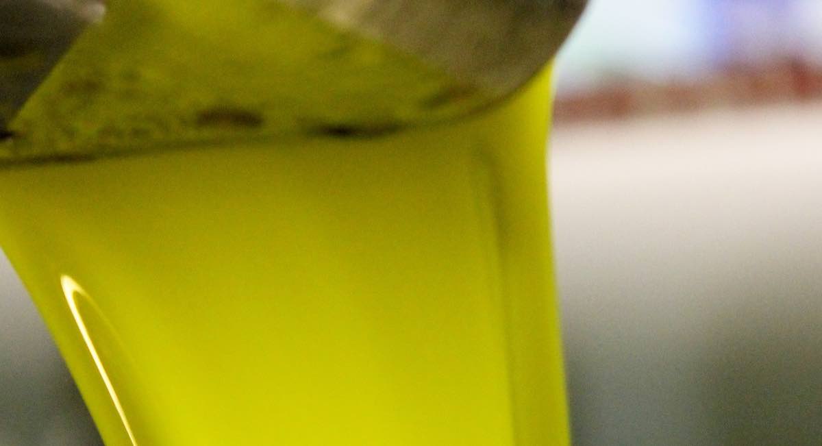 Álvaro Olavarría, de Oleoestepa, sobre el precio del aceite de oliva: «Está baratísimo»