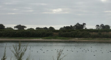 La Junta deja fuera a los pueblos sevillanos de las ayudas del Acuerdo de Doñana
