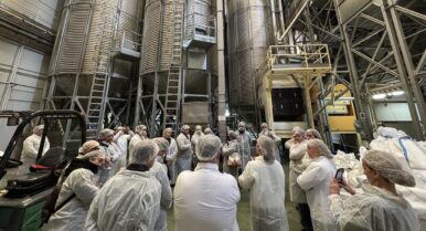 Acaba la campaña de arroz en Sevilla superando las 110.000 toneladas