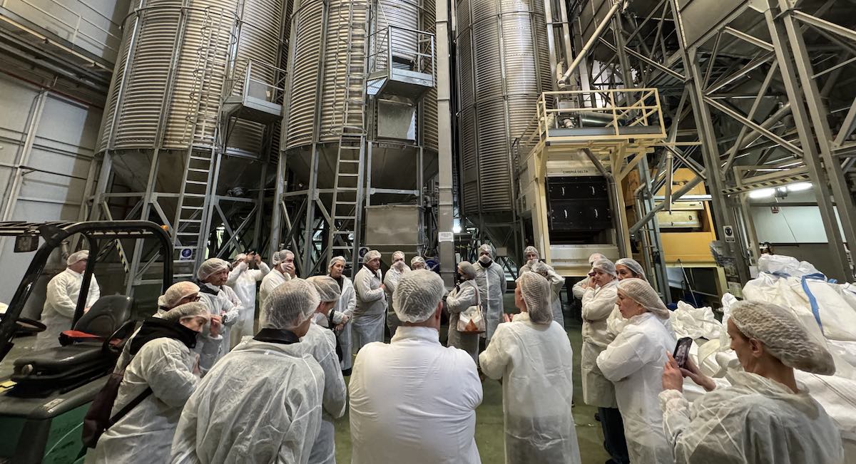 instalaciones-arrozua-arroz