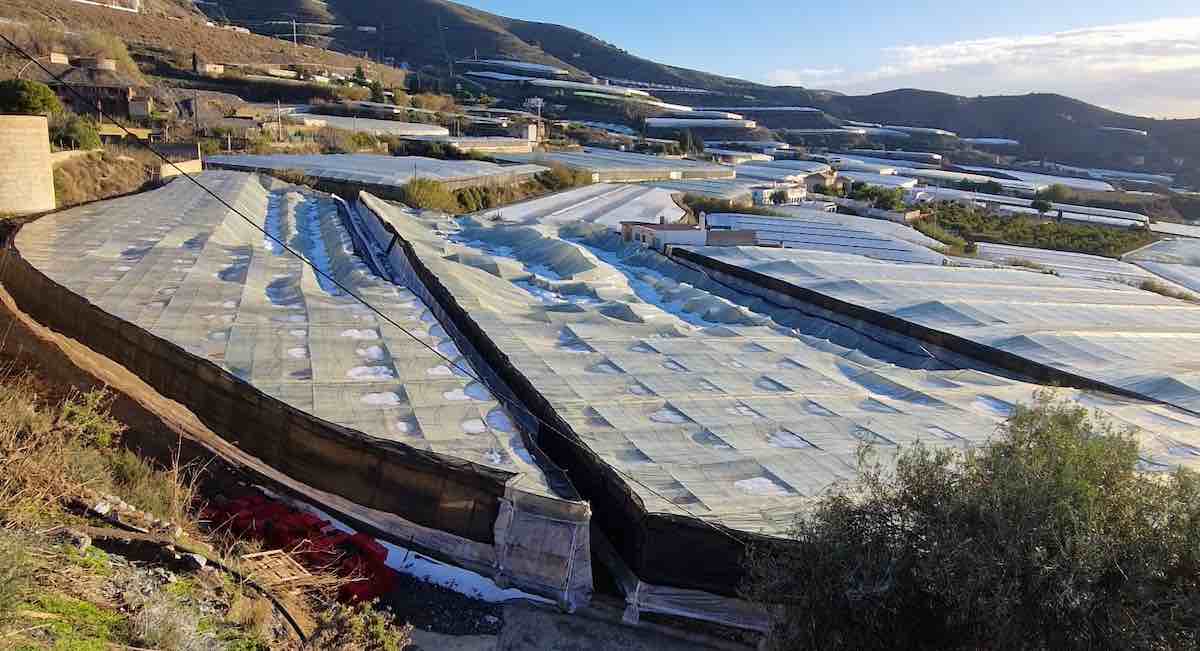 invernaderos-destrozados-temporal