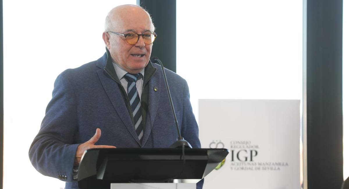 oropesa-aceituna-igp