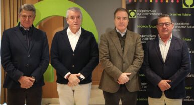 La gran metamorfosis del olivar: el sector tendrá que transformarse para seguir compitiendo