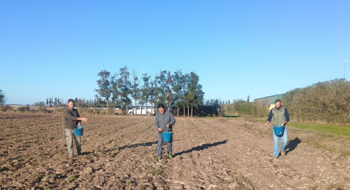 ¿Puede la agricultura salvar a Doñana? El campo se reinventa para ser más sostenible