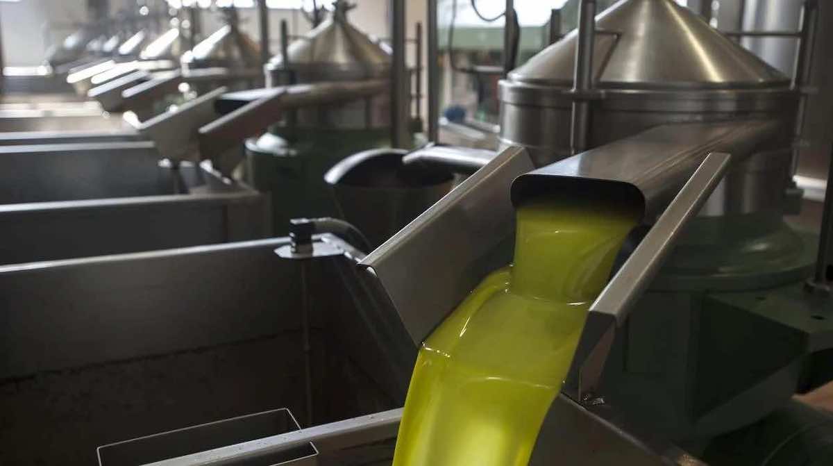 ‘Guerra’ en el sector del aceite: industria y productores se enfrentan por la norma de retirada obligatoria