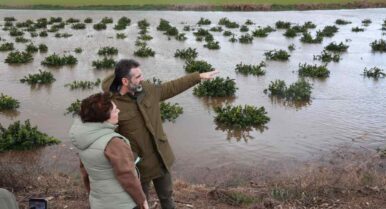 La Junta destinará 700 millones a ayudas directas y 120 para caminos e instalaciones de riego