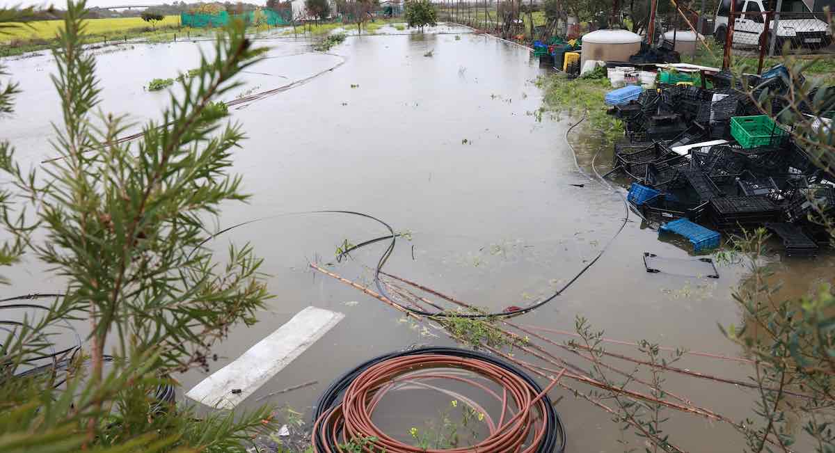 La Junta activará ayudas para los agricultores y ganaderos afectados por el temporal