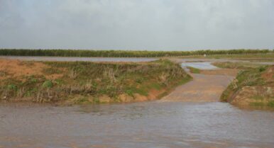 Estas son las flexibilizaciones de la PAC 2026 en Andalucía para paliar los daños de las lluvias