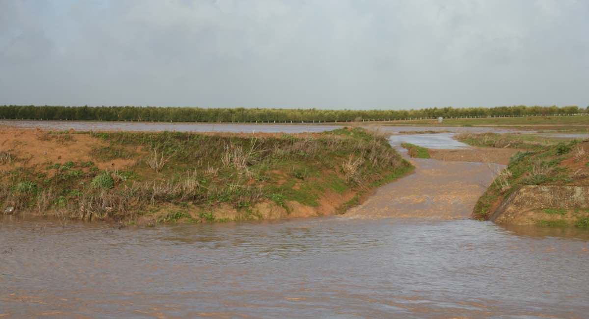 Los agricultores pedirán al ministro Planas un paquete de medidas «potente y rápido» para la recuperación