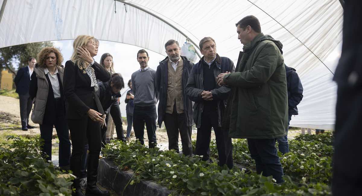 El Ministerio pide a la Comisión Europea que active el fondo agrícola de crisis para las zonas afectadas por el temporal