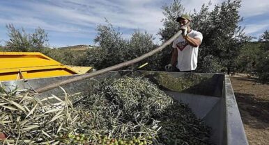 Ayudas directas y beneficios fiscales: el plan de choque que propone el campo por la crisis geopolítica