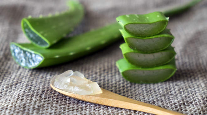 cuerpo de texto aloe vera 661x369 px