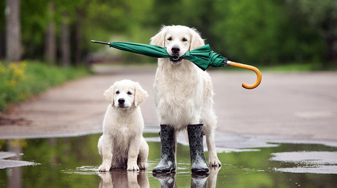 FOTO ROCIO RIBERO OSUNA