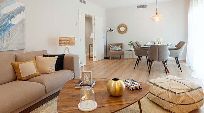 Foto dentro del contenido