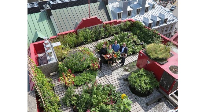 Huerto-urbano-Macetas-de-tela-Smart-pots